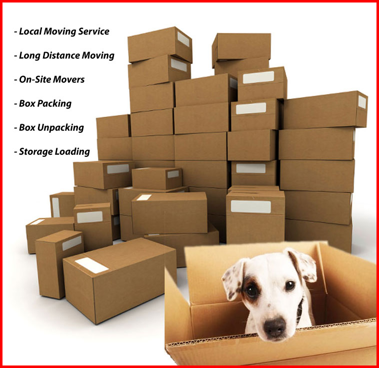Packers And Movers Noida Sector 21